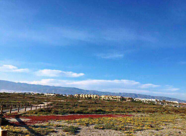 Apartamento Lujo, Primera Linea Playa, Garaje, Wifi, Piscina Climatizada 滨海罗克塔斯 外观 照片